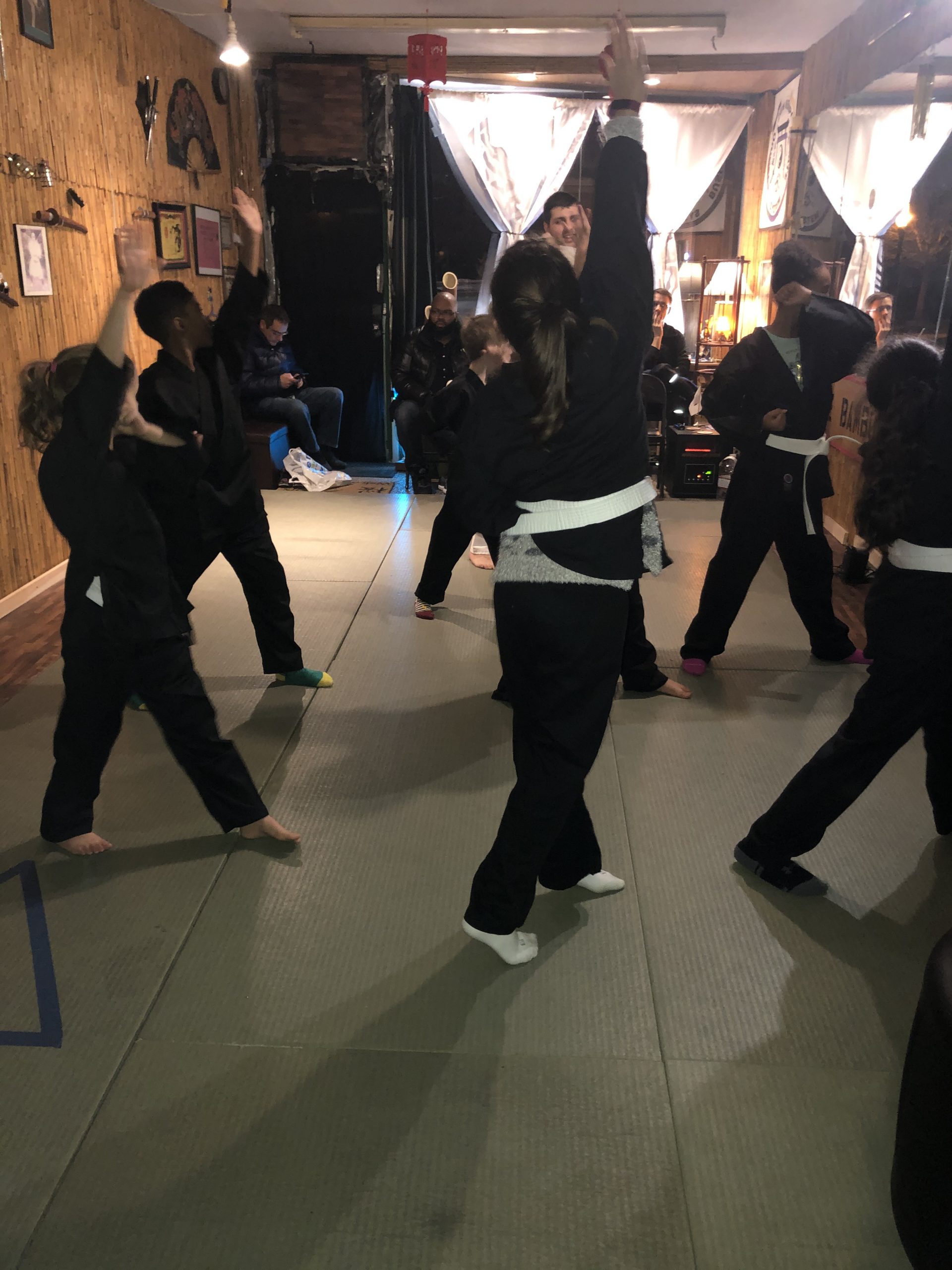 Online Live Martial Art Classes For Kids Martial Arts Belmont Ma